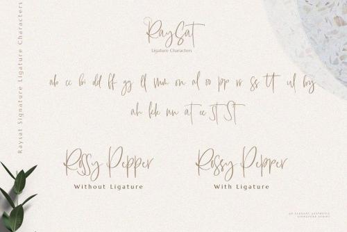 Raysat Elegant Signature Font 12