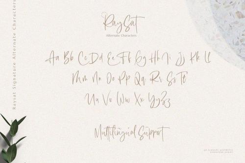 Raysat Elegant Signature Font 14