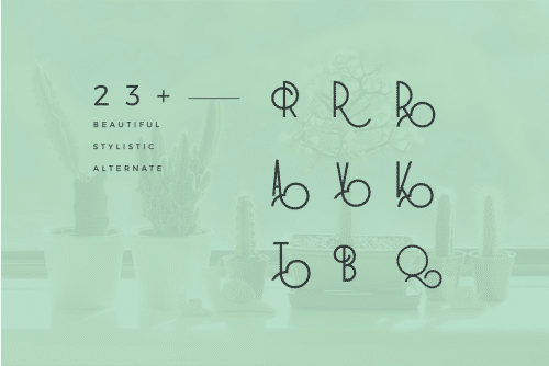 RedFlower Typeface 3