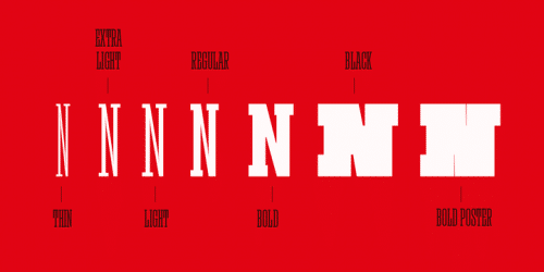 Rita Font Family 11