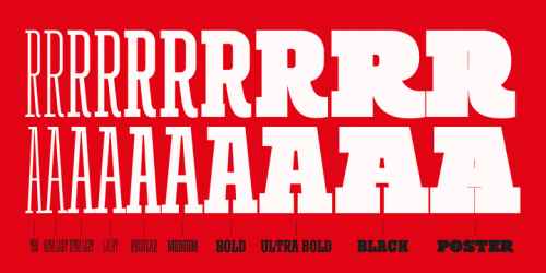 Rita Font Family 4