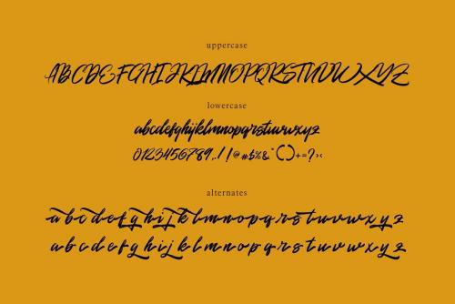 Rommantis Script Font 8