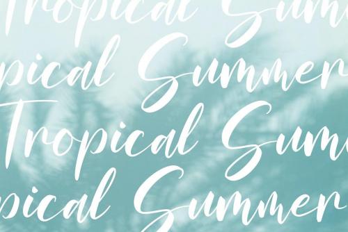Salmanda Calligraphy Font 5