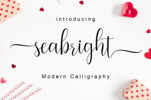 Seabright Script Font 1