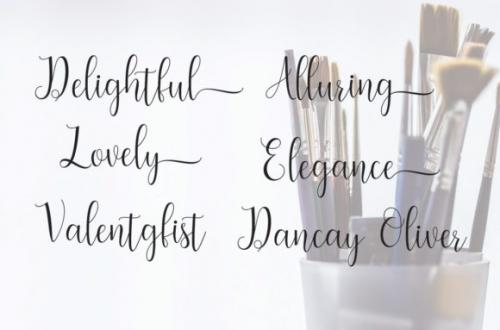 Seabright Script Font 5