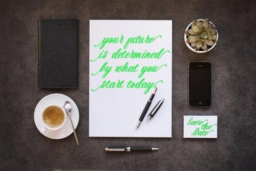 Seagull Script Font 3