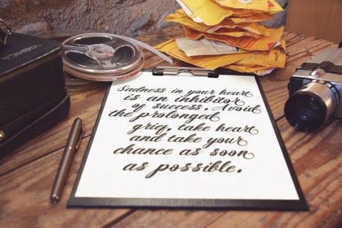 Seagull Script Font 4