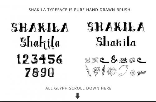 Shakila Typeface Hand Drawn Ornament 5