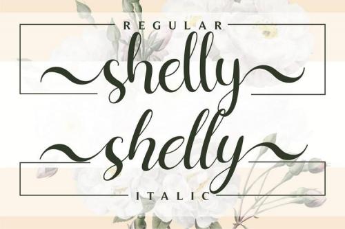 Shelly Calligraphy Font 2