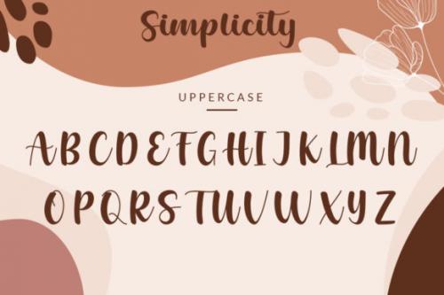 Simplicity Font 13