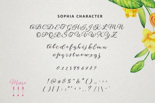 Sophia Calligraphy Font 1