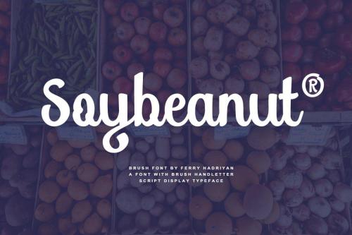 Soybeanut Script Font 1