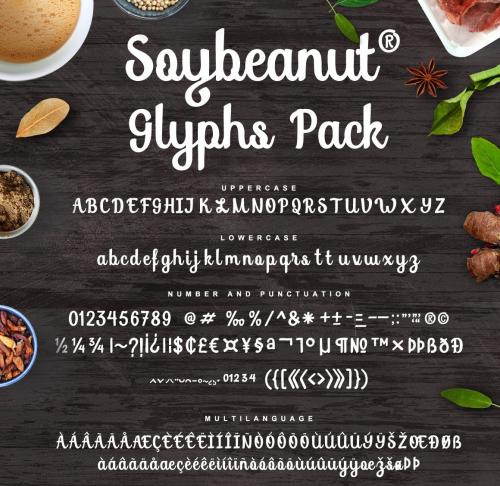 Soybeanut Script Font 10