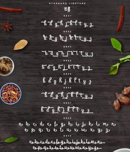 Soybeanut Script Font 11