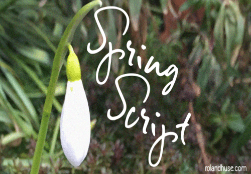 Spring-Script-Font-0