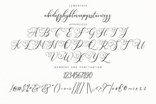 Sugarberry Calligraphy Font 6