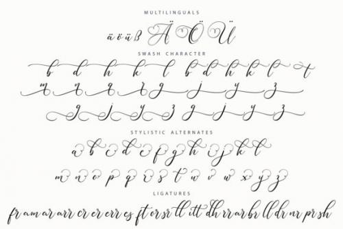 Sugarberry Calligraphy Font 7