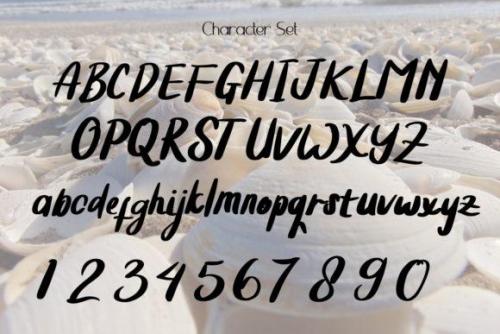 Summer Clam Calligraphy Font 7