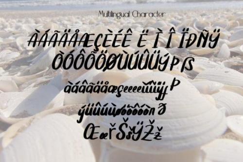Summer Clam Calligraphy Font 8