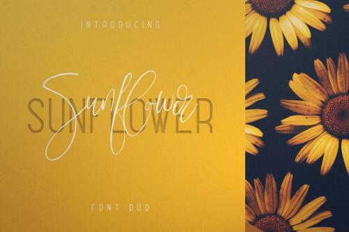 Sunflower Font 1