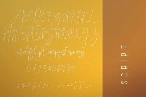 Sunflower Font 10