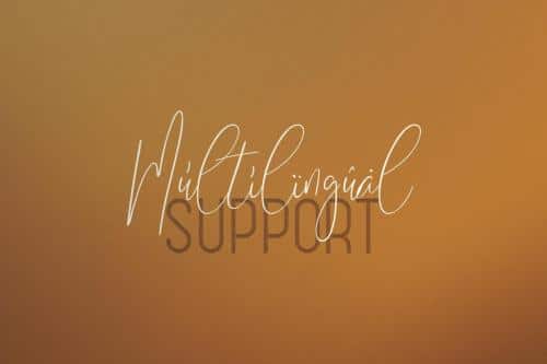 Sunflower Font 11