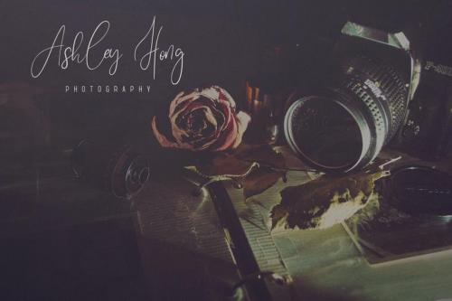 Sunflower Font 3