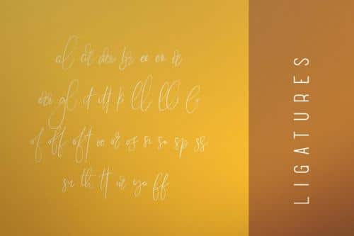 Sunflower Font 8
