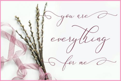 Sweet Salssa Calligraphy Font 3