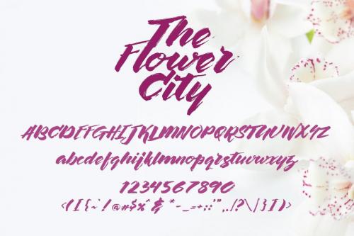 The Flower City Script Font 3