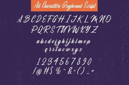 The Greyhound Script Font 8