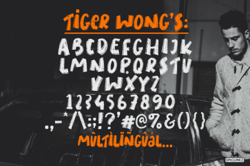 Tiger Wong Font 6