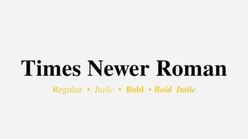 Times Newer Roman Serif Font