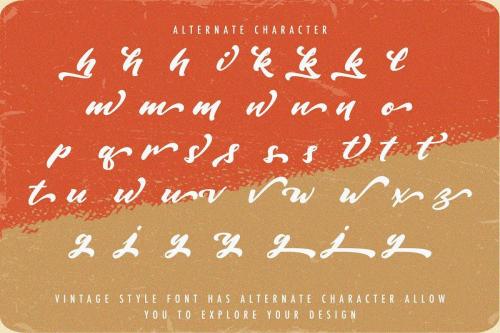 Vintage Style Script Font 12