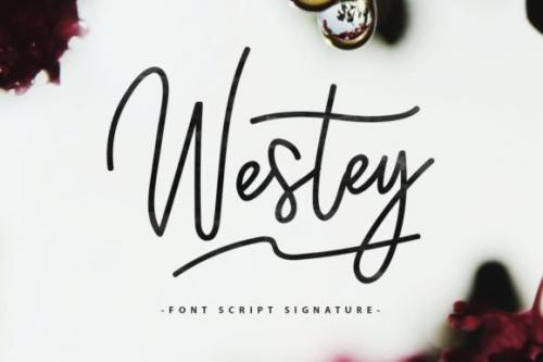 Westey Signature Font