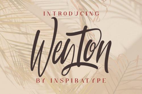 Weyton Calligraphy Font 1