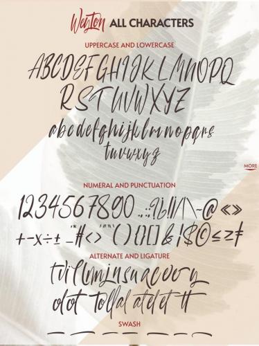 Weyton Calligraphy Font 5