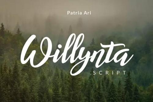 Willynta Script Font 1