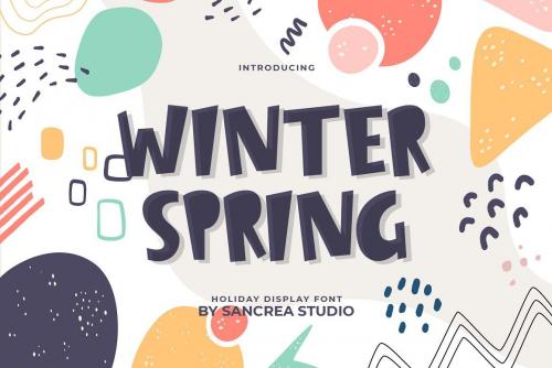 Winter Spring Display Font 1