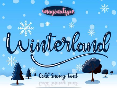 Winterland Script Font 1
