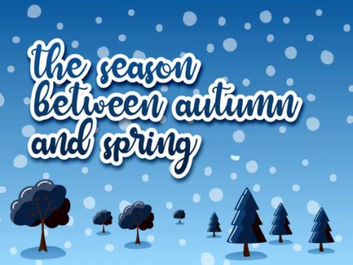 Winterland Script Font 4