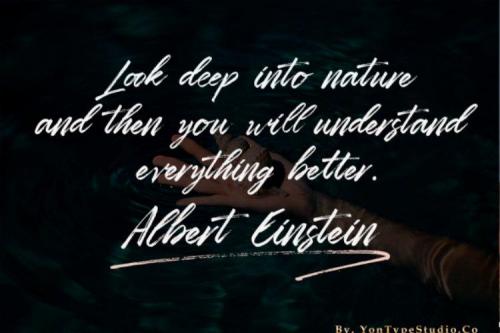 Zombies Hand Brush Font 11