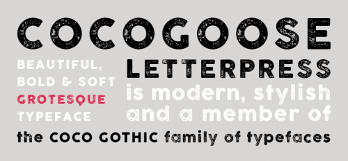 cocogoose letterpress 3
