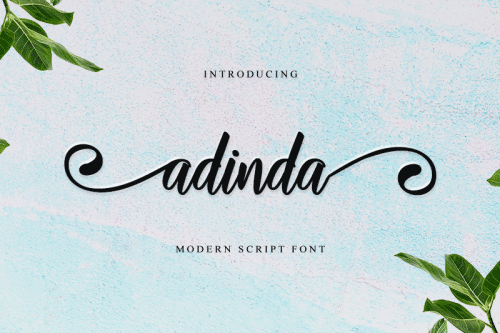 Adinda Modern Script Font 1