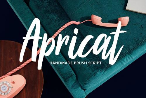 Apricat Brush Script Font 1