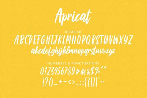 Apricat Brush Script Font 7