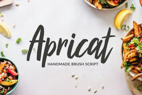 Apricat Brush Script Font 8