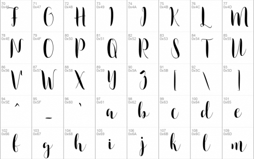 Camsia Font 2