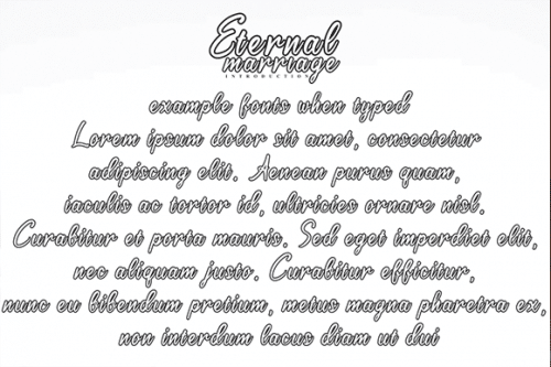 Eternal Marriage Script Font 4