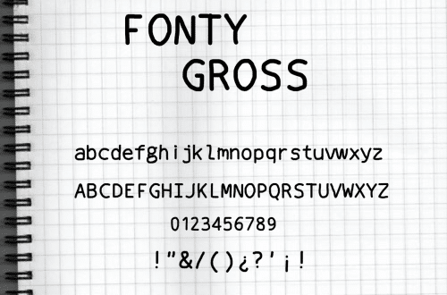 Fonty Gross Font